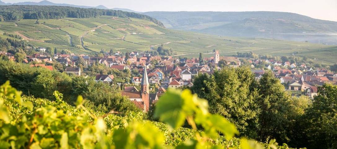 Gîte pour 3 personnes, avec jardin, animaux acceptés à Orschwihr - 3