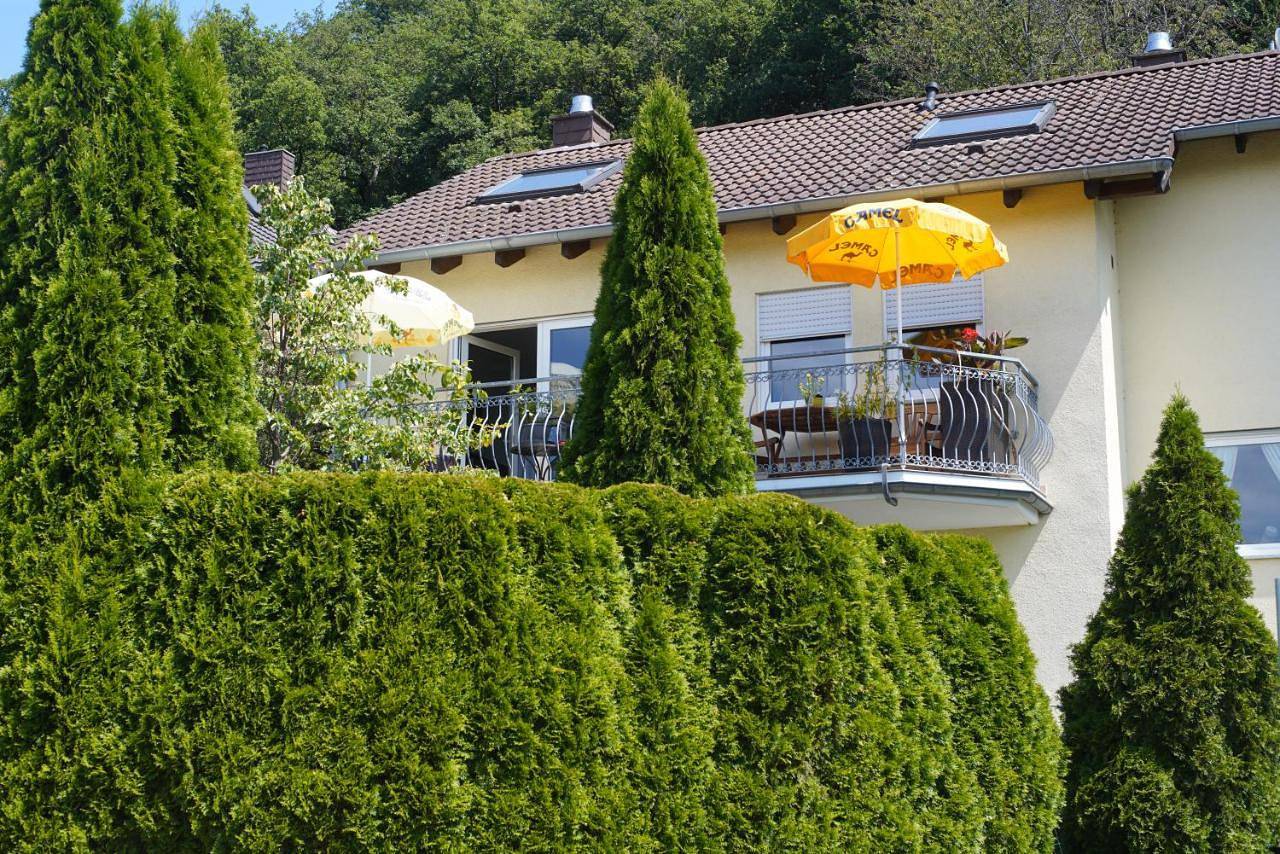 Ganze Wohnung, Apartment with Mountain View in Sinzig, Ahrtal