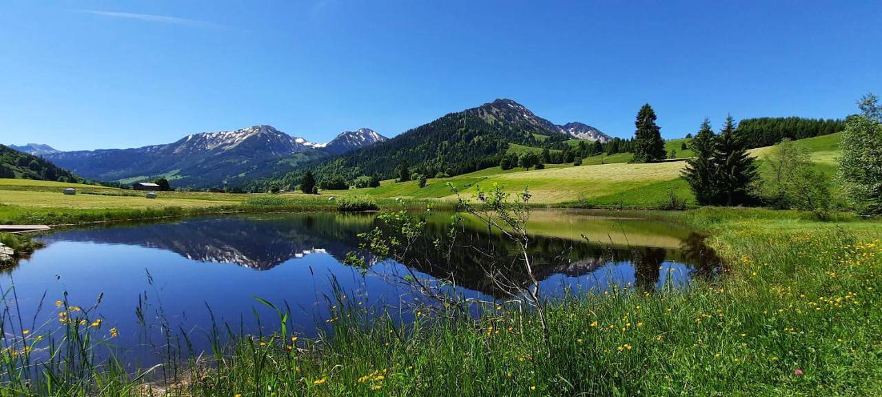 Ganze Wohnung, Haus Baumgartner in Schattwald, Allgäuer Alpen (Österreich)