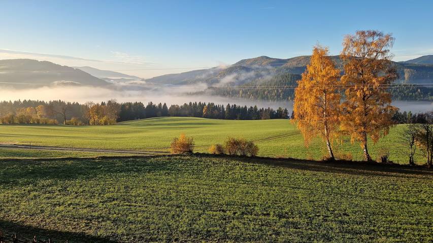 Ganze Ferienwohnung, Ferienhaus "Die Jagamühl" in Fischbach, Steirerland
