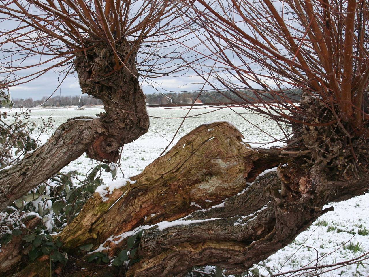 Ganze Ferienwohnung, App. Gutmann - App. Gutmann in Klockenhagen, Ribnitz-Damgarten