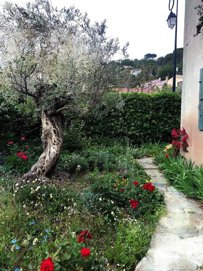 Villa pour 6 personnes, avec jardin et terrasse ainsi que vue et sauna, animaux acceptés à Collioure - 3