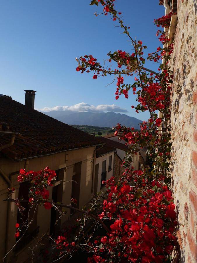 Chambre d’hôte pour 2 personnes, avec Terrasse et Vue