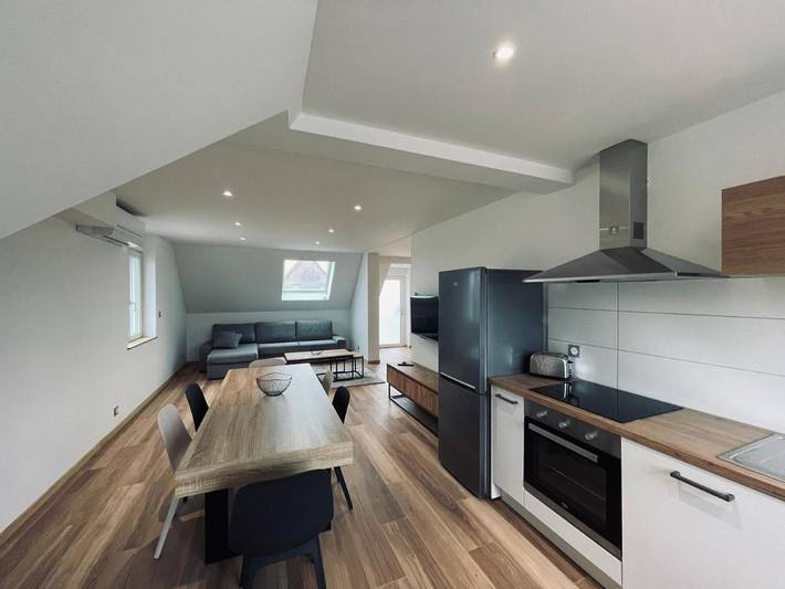 Gîte pour 9 personnes, avec vue et jardin à Wintzenheim - 4