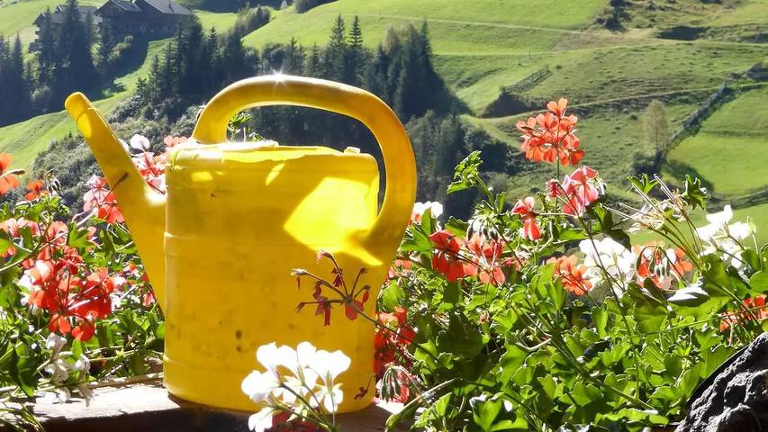 Ferienwohnung für 2 Personen, mit Garten in Innervillgraten - 4