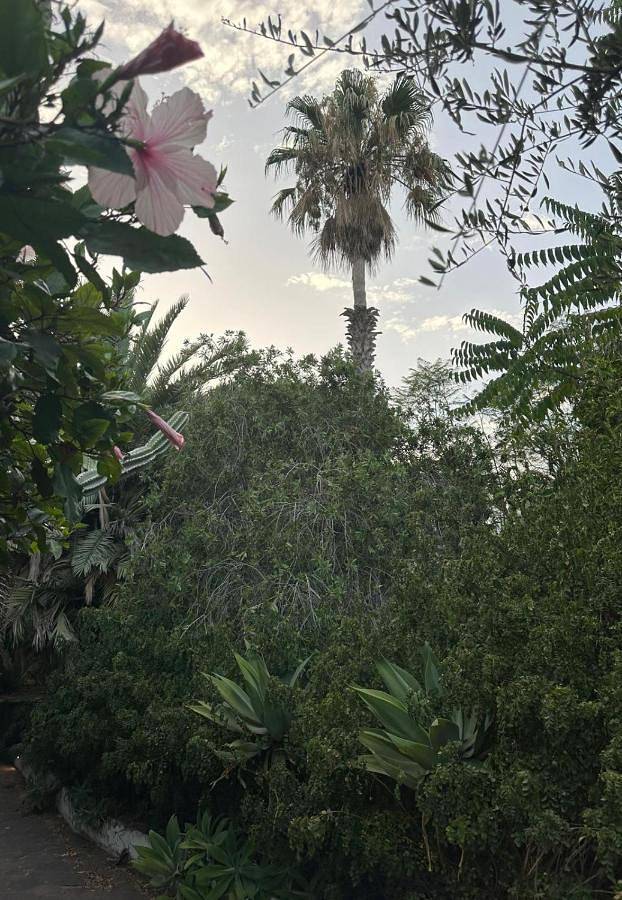 Location de vacances pour 2 personnes, avec vue ainsi que terrasse et jardin dans Stromboli - 3