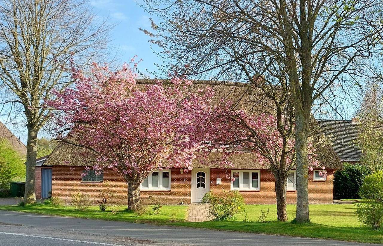 Ganze Wohnung, One-Bedroom Apartment in Bordelum, Nordfriesland