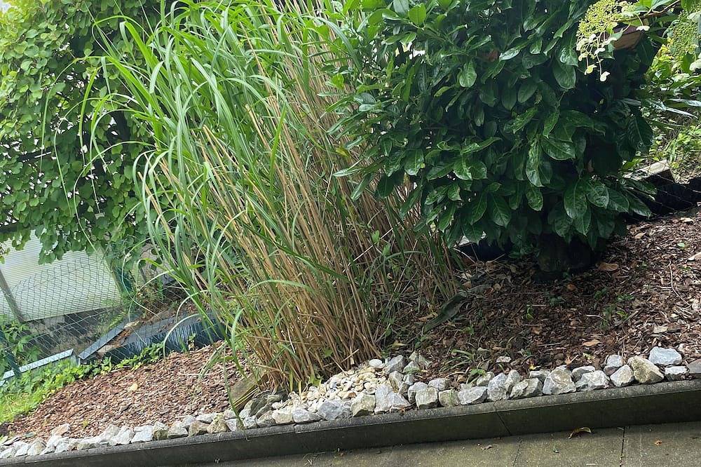 Ganze Wohnung, Schöne,frisch renovierte Ferienwohnung mit Terrasse, 2 Min. bis zur Autobahn in Wermelskirchen, Rheinisch-Bergischer Kreis