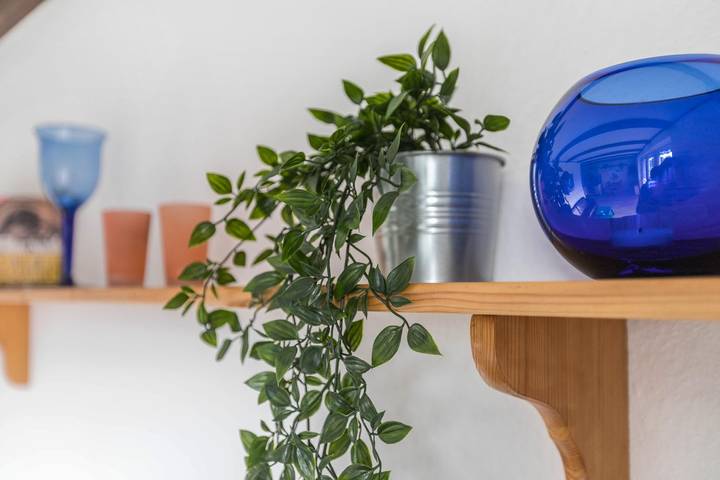 Ferienwohnung für 4 Personen, mit Garten in Friedrichskoog - 4