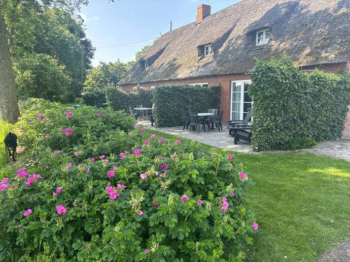 Bauernhof für 4 Personen, mit Balkon und Balkon/Terrasse sowie Terrasse und Garten in Tönning
