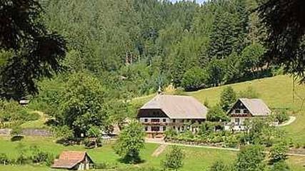 Ferienwohnung für 4 Personen in Hornberg, Hochschwarzwald, Bild 2