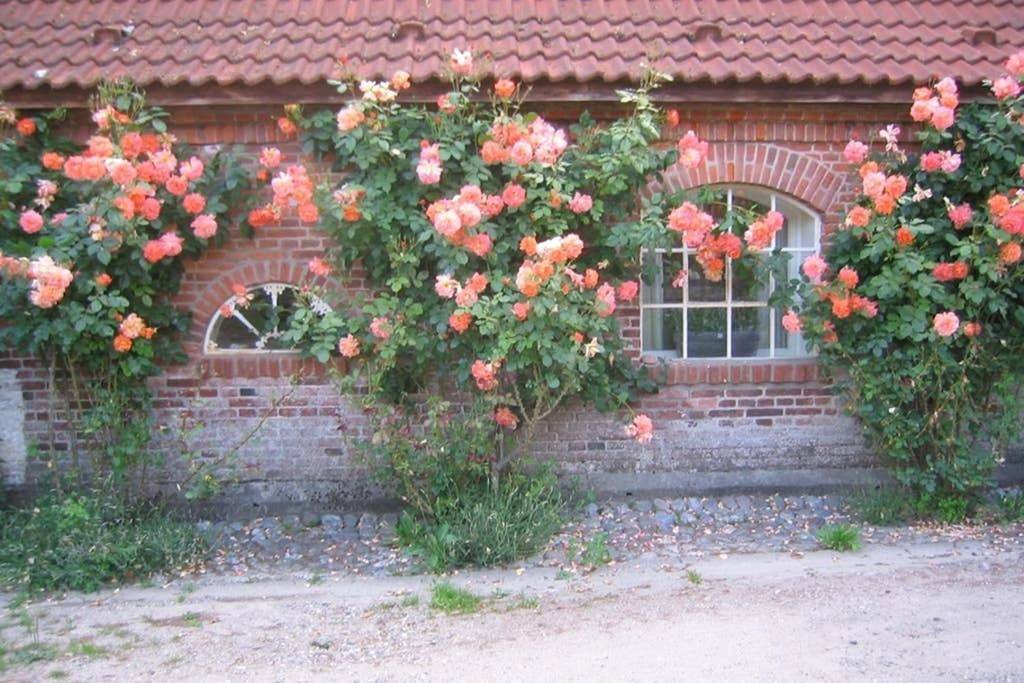 Gut Hohenstein - Stellmacherhaus in Barkelsby, Rendsburg-Eckernförde