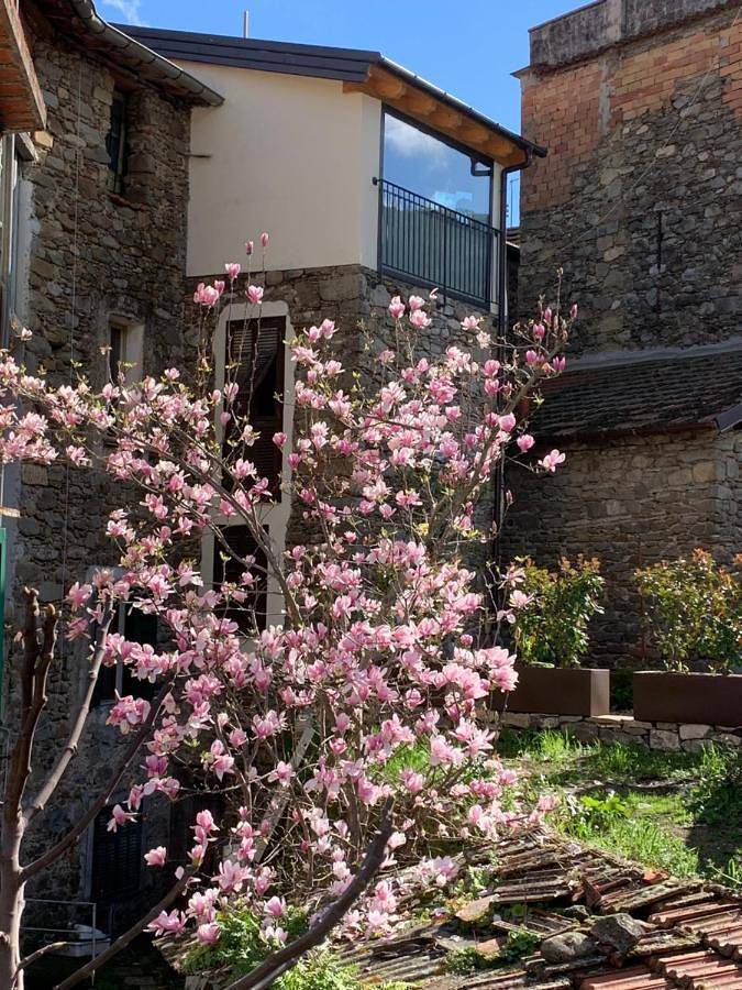 Location de vacances pour 2 personnes, avec vue et terrasse à Dolceacqua - 2