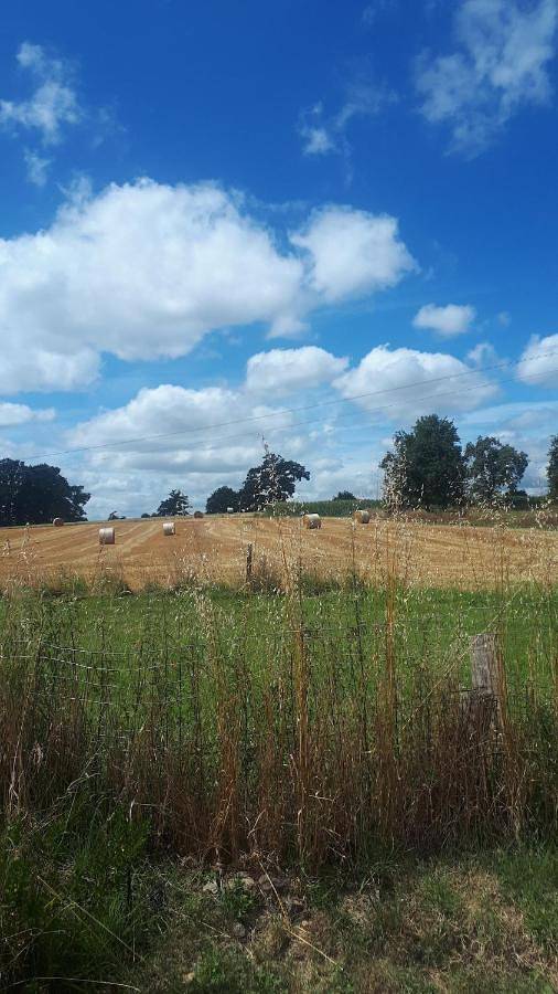 Location de vacances pour 4 personnes, avec jardin à Ceaucé - 3