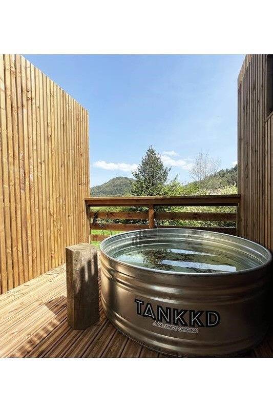 Location de vacances pour 4 personnes, avec terrasse et jardin à Dommartin-lès-Remiremont - 2