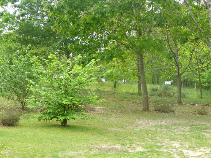Gîte pour 2 personnes, avec jardin et terrasse dans les Landes - 3