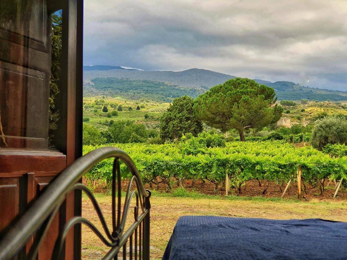Suite in vigneto in Etna