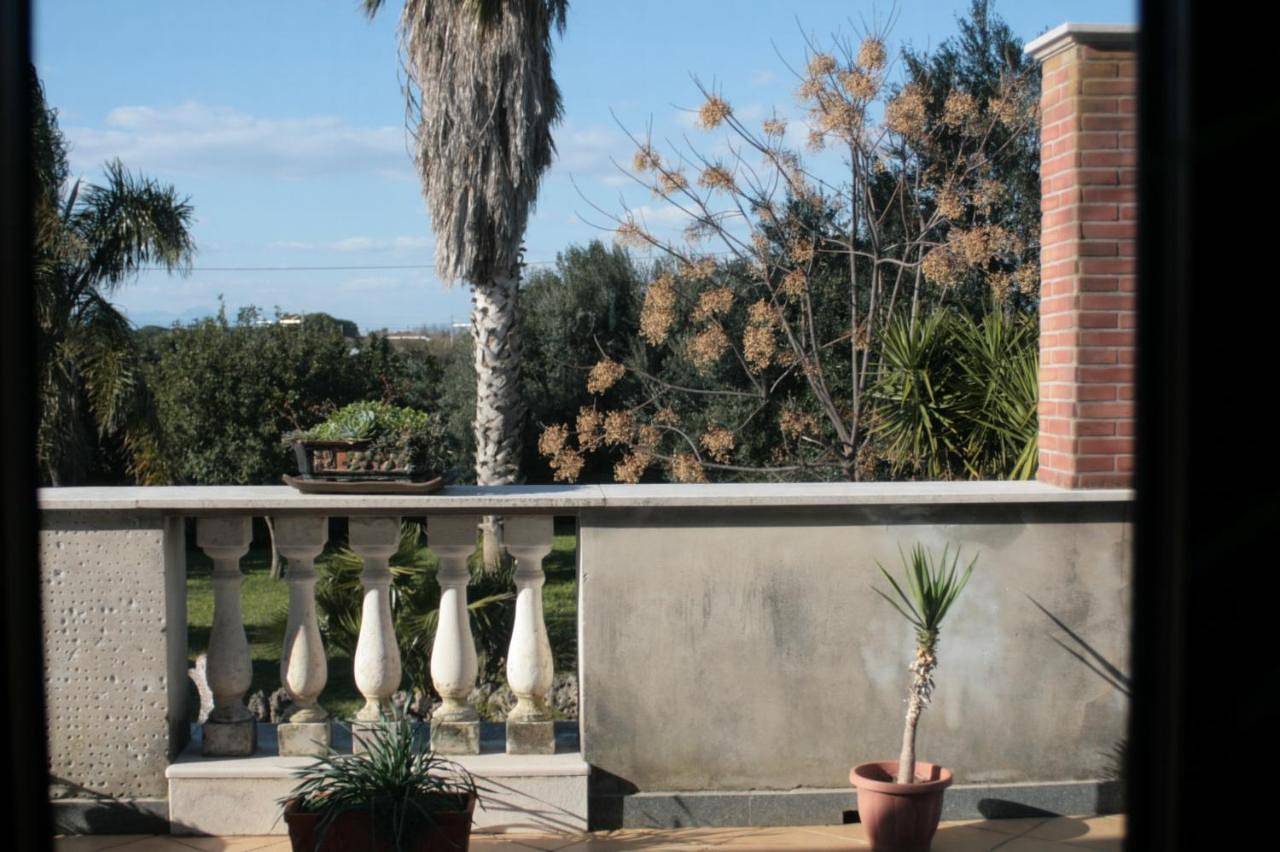 Il Tuffatore B&B in Paestum, Capaccio