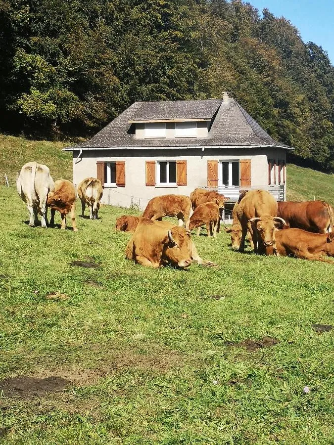 Chalet pour 6 personnes, avec jardin et vue - 1