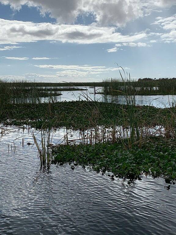 Buckhead Ridge Waterfront House-Es ist 5:00 irgendwo in Buckhead Ridge in Lake Okeechobee