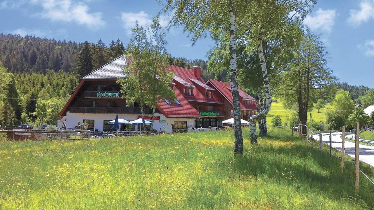 Apartment with Balcony in Breitnau, Forêt-Noire du Sud