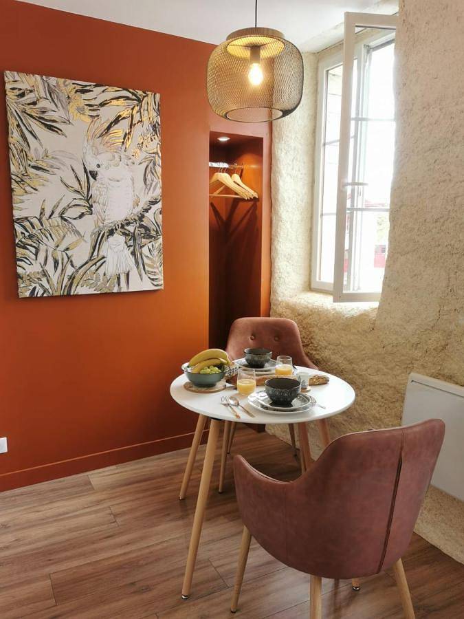 Appartement entier, Les appartements du centre, 3 appartements avec Climatisation, 4 appartements avec climatiseur mobile, refaits à neuf, 50m à pieds des commerces, restaurants, parking gratuit in Salies-de-Béarn, Béarn