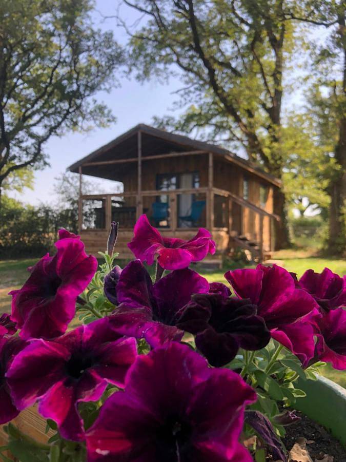 Gîte pour 2 personnes, avec vue ainsi que jardin et piscine à Prissac - 4