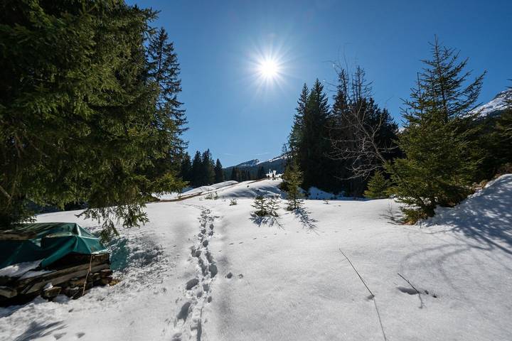 Hütte für 6 Personen, mit Balkon und Terrasse sowie Sauna in der Lenzerheide - 3