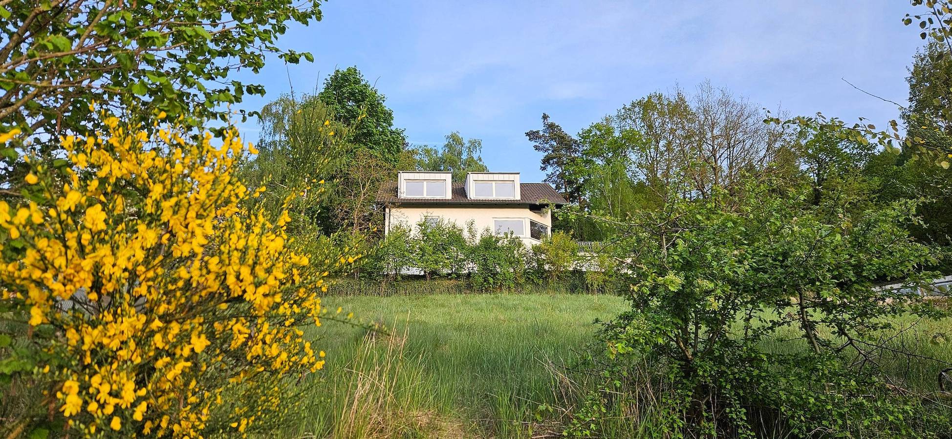 Ferienhaus Panoramablick Altfalter - Modernes Ferienhaus in Alleinlage mit großem Garten und fantastischem Ausblick in Schwarzach b.Nabburg, Naturpark Oberpfälzer Wald