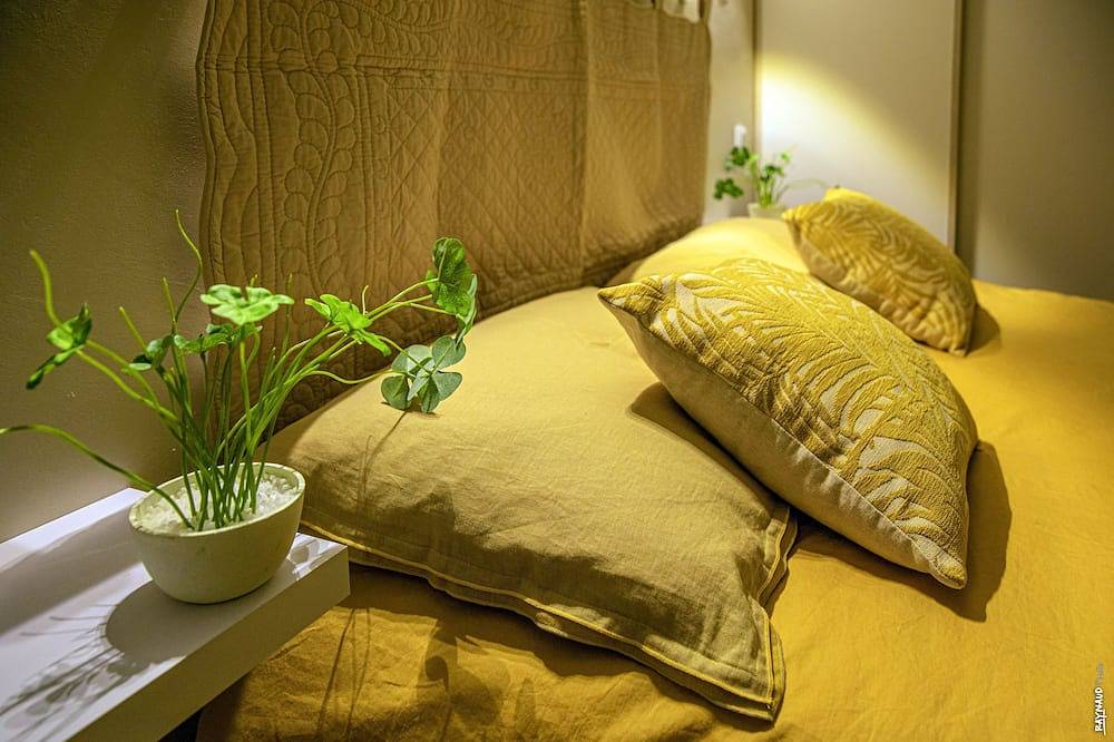 Pleasant house with garden - Near downtown in Albi, Albi und Umgebung