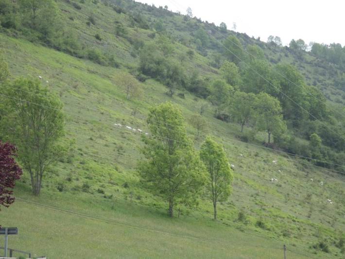 Gîte pour 6 personnes, avec terrasse et vue à Castillon-de-Larboust - 4