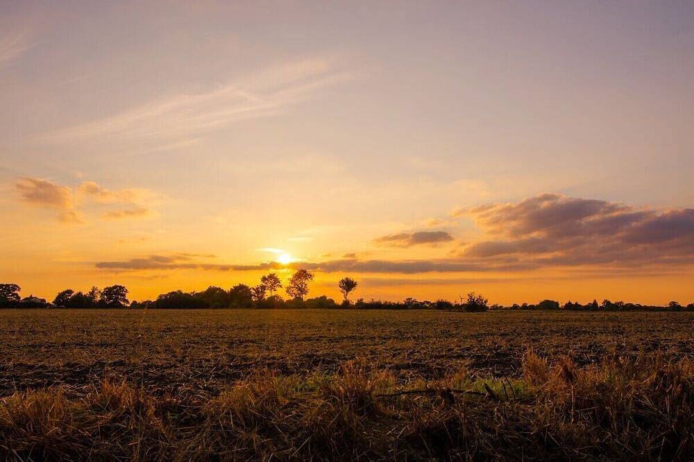 Cheerful two bedroom cottage with field views in Framlingham, Suffolk