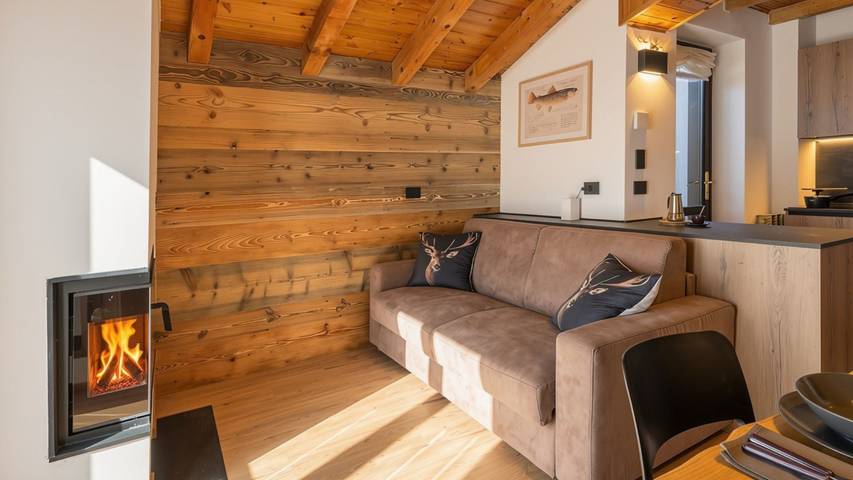 Appartamento vacanze per 4 persone, con panorama e giardino nonché terrazza, con animali domestici - 1