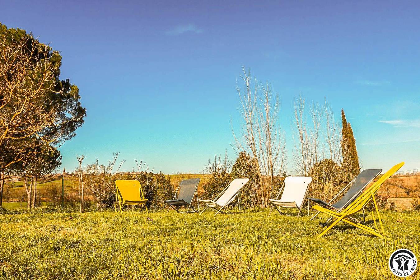 Vignes in Saint-Léon, Lauragais