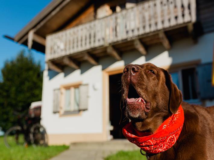 Ferienhaus für 4 Personen, mit Pool und Terrasse sowie Sauna, kinderfreundlich in Bayern - 2