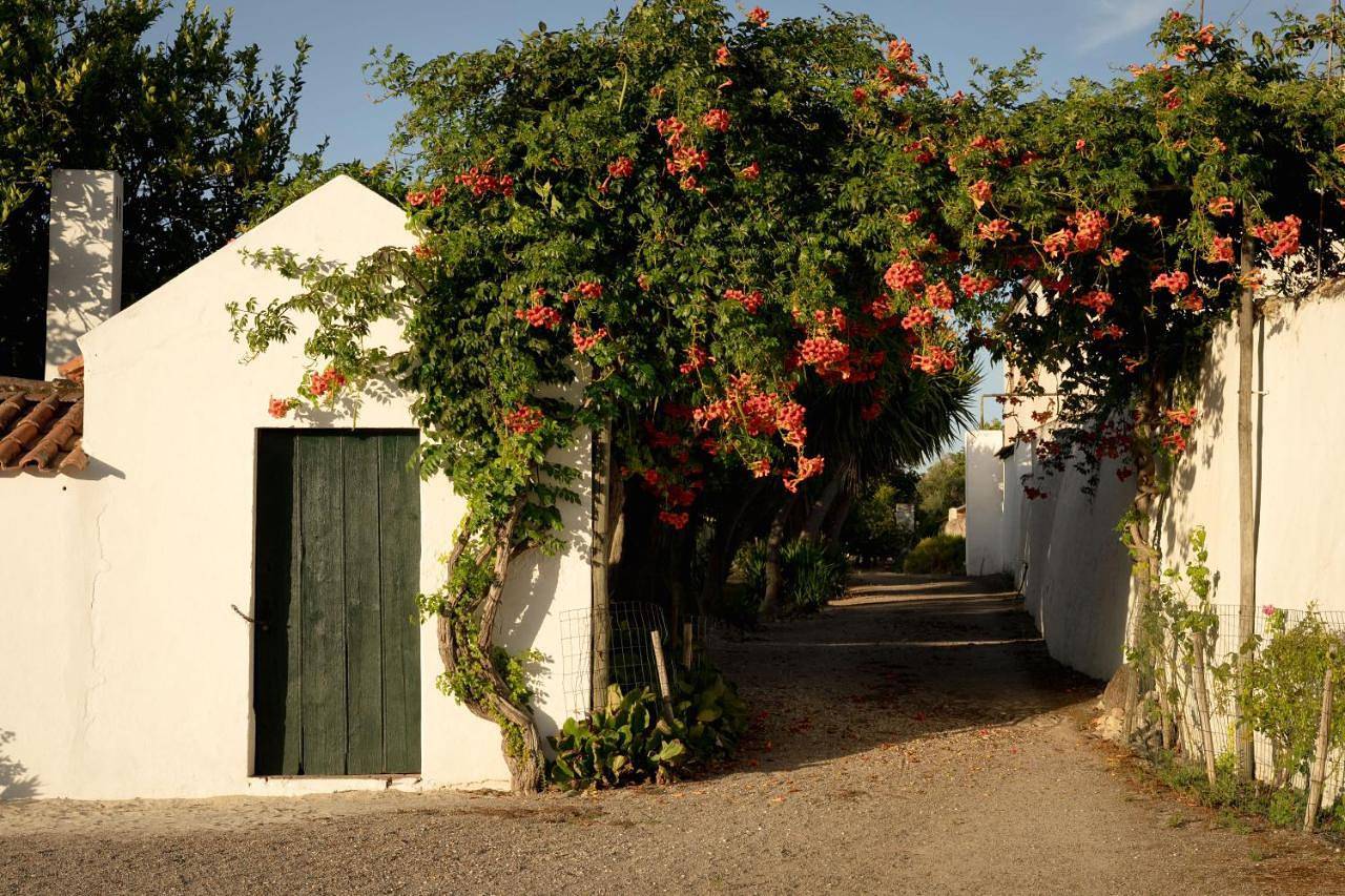 Eighteen21 Houses - Casa dos Condes in Sousel, Distrito de Portalegre