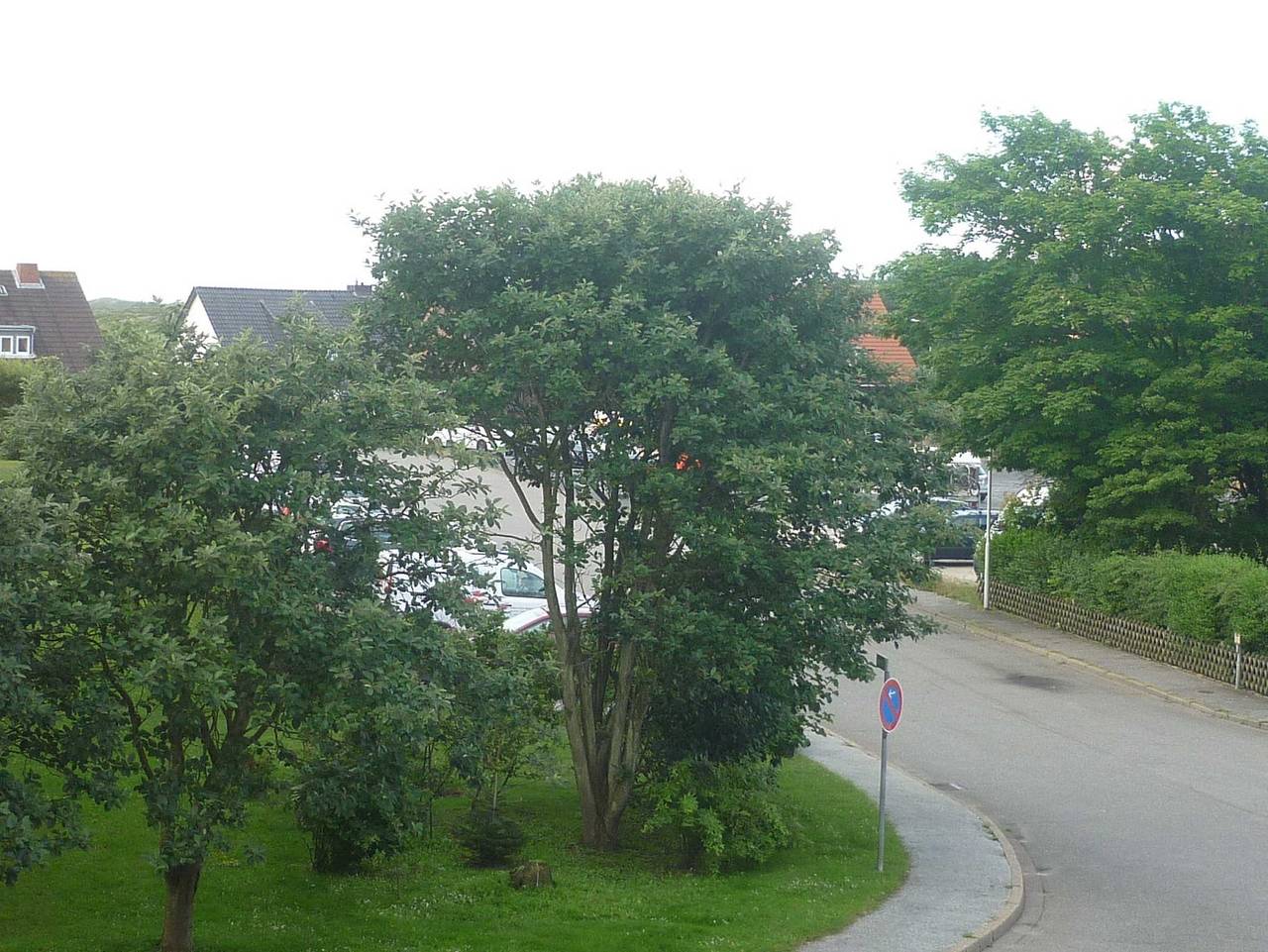 Ganze Ferienwohnung, Beck am Südwäldchen / Appm. 18 - 2-Zimmerwohnung Appm. 18 Theodor-Heuß-Str. 3 in Westerland, Sylt (Gemeinde)