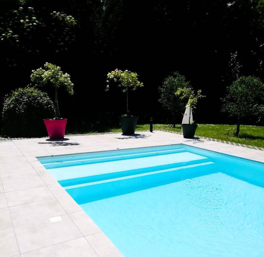 King Room with Pool View in Ostwald, Région de Strasbourg