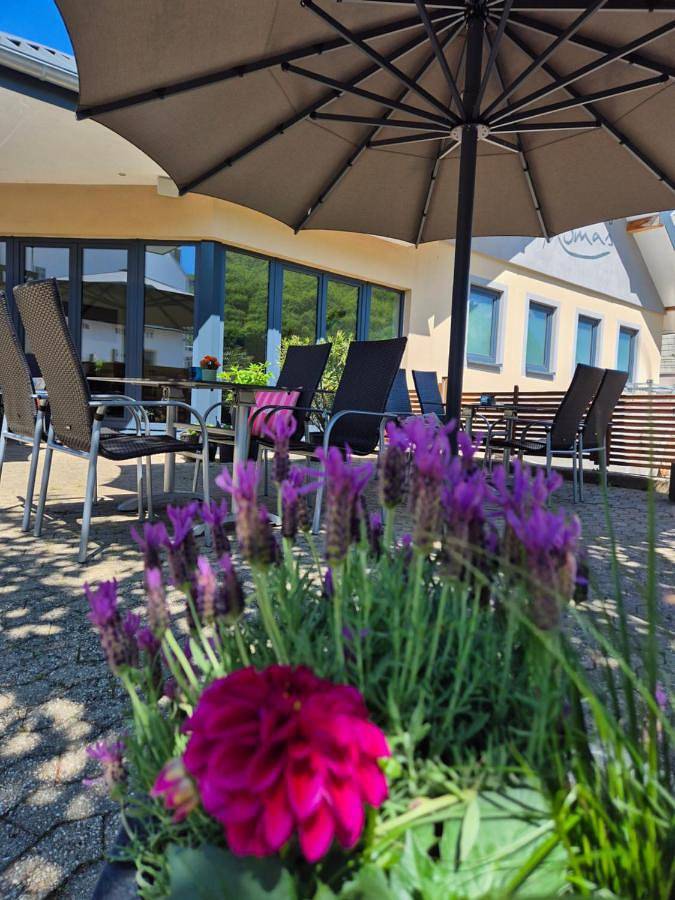 Ferienhaus für 2 Personen, mit Terrasse und Garten in Klotten - 4
