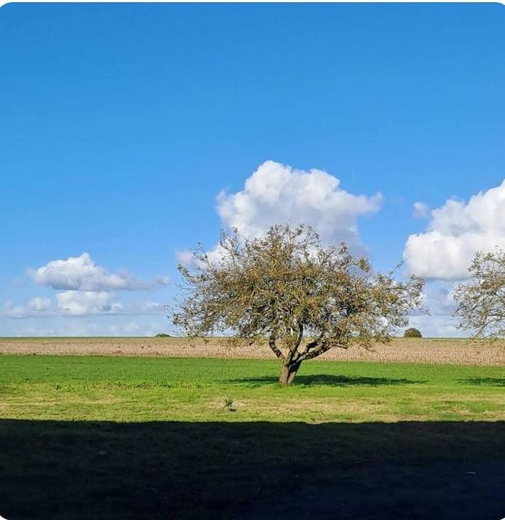 Gîte pour 5 personnes, avec jardin à Saint-Jean-de-la-Motte
