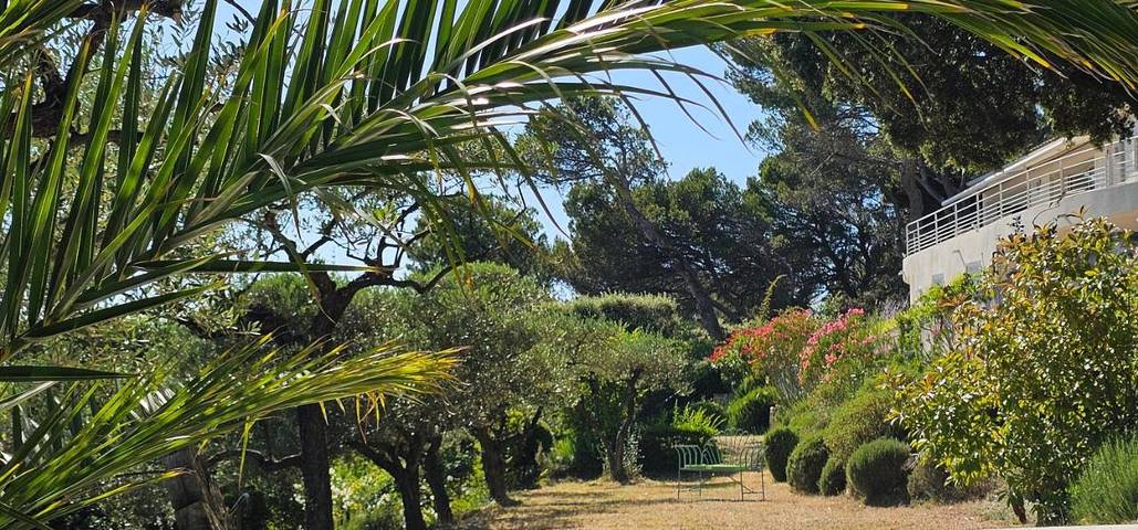 Chambre d’hôte pour 2 personnes, avec vue ainsi que jardin et piscine à Vaison-la-Romaine - 3
