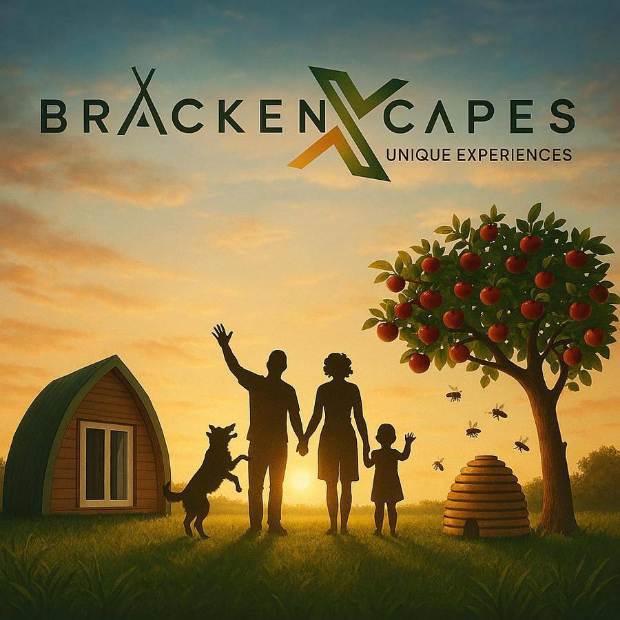 Brackenxcapes Glamping in Sherwood Forest, Nottinghamshire
