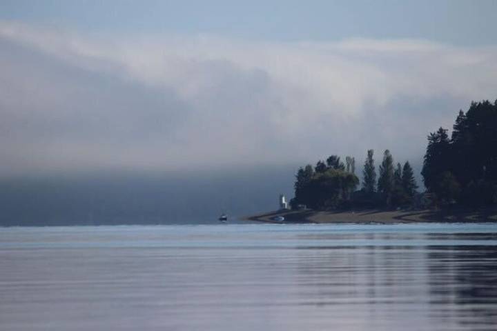 Blockhütte für 3 Personen, mit Balkon, mit Haustier in Washington