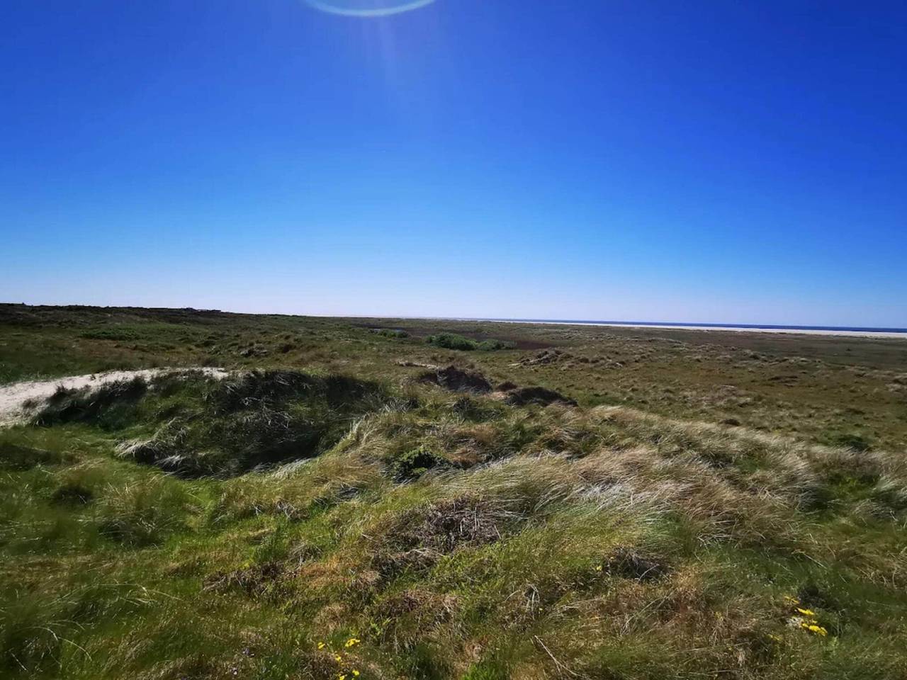 Ruhige Oase am Strand in Nordby, Rindby