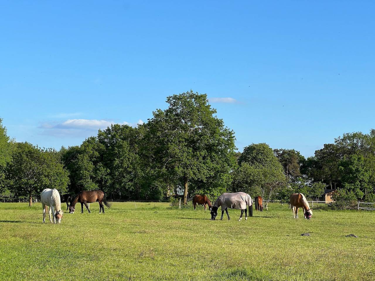Ganze Ferienwohnung, Natur & Ruhe - Ruhe & Natur in Worpswede, Niedersachsen