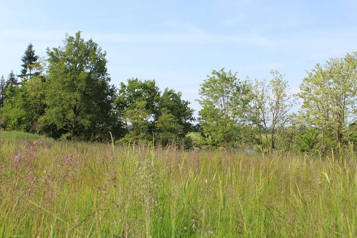 Les Bords de Loire in Perrigny-sur-Loire, Charolles und Umgebung