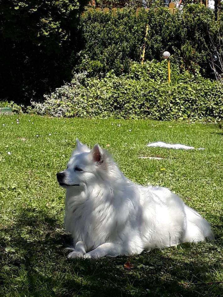 Ferienwohnung für 2 Personen, mit Garten im Salzkammergut - 3