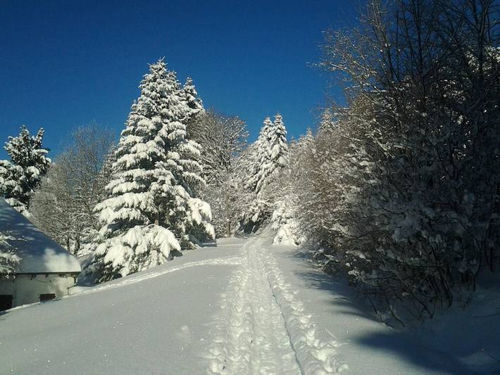 Location de vacances pour 4 personnes, avec jardin dans La Bresse-Hohneck - 3