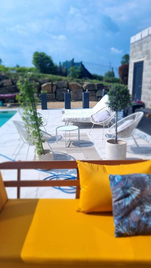 Location de vacances pour 9 personnes, avec piscine et terrasse, animaux acceptés à Soumagne - 2