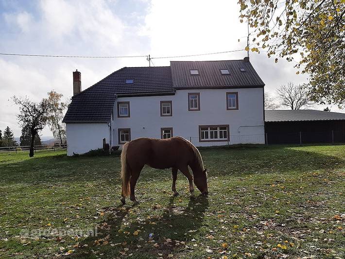 Ferienhaus für 30 Personen, mit Terrasse und Balkon/Terrasse in der Südeifel - 3